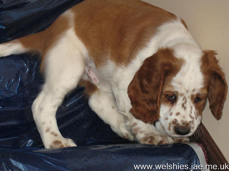 2009-04-08 50.JPG - Not too sure about this